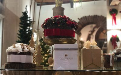 Panettoni d’autore sostiene La Meridiana