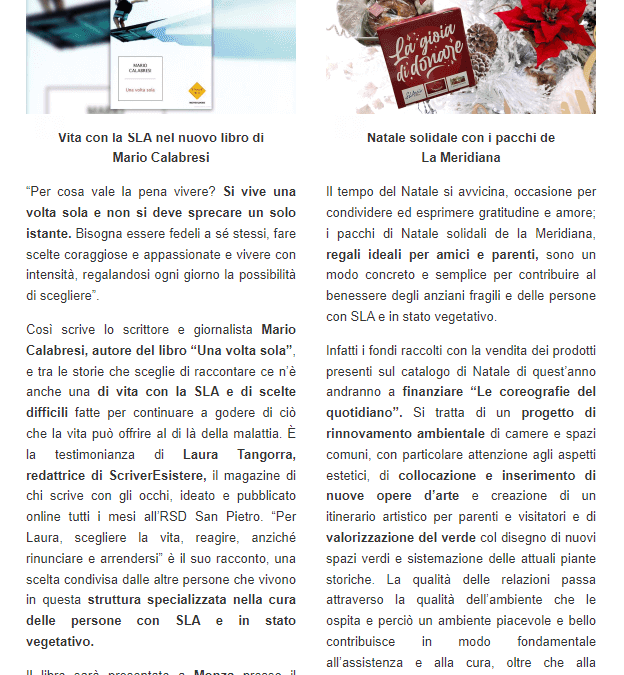 Numero 31